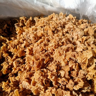 精品羊肚耳产地直发鹿肚耳精品羊肚耳单片羊肚耳好货羊肚耳