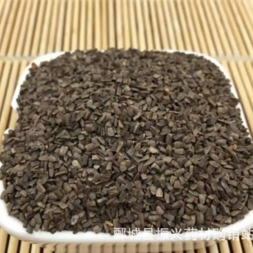 中药材茺蔚子