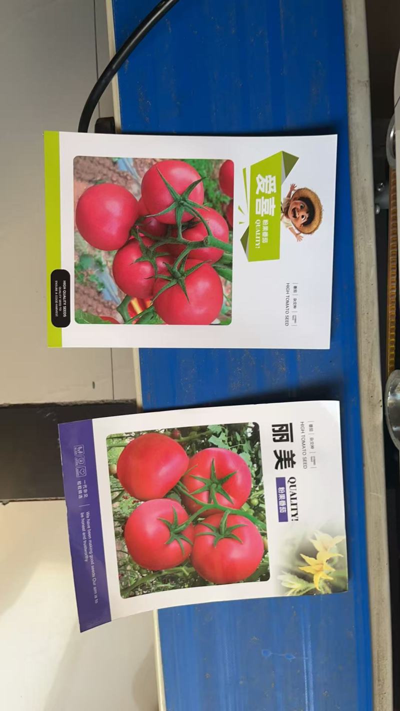 番茄种子，粉果硬果，抗枯萎，抗ty