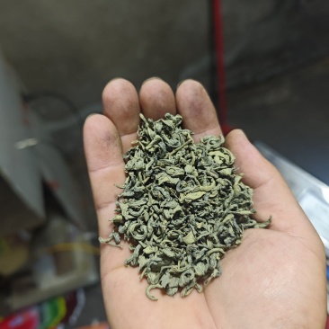 揭阳揭西五经富大洋高山炒茶