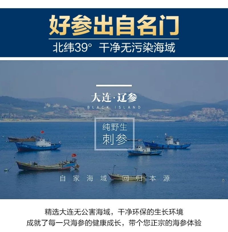 包邮）大连淡干海参干货500g深海辽刺参6-9年孕妇级