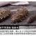 包邮）大连淡干海参干货500g深海辽刺参6-9年孕妇级