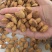 新疆纸皮巴旦木大量现货量大从优欢迎来电咨询
