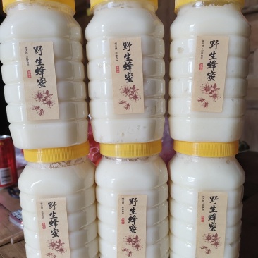 农家蜂蜜