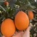 “奉节脐橙的果皮脆而易剥，果肉细嫩化渣，无核少络，酸甜适