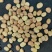 高品质进口干蚕豆喂鱼的打豆瓣的