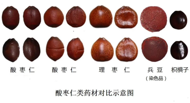 酸枣仁98选货酸枣仁实物拍摄国产酸枣仁河北枣仁多规格