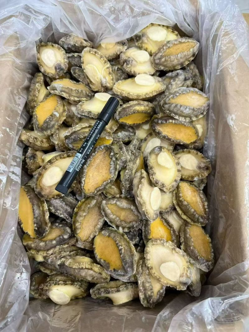 鲍鱼肉