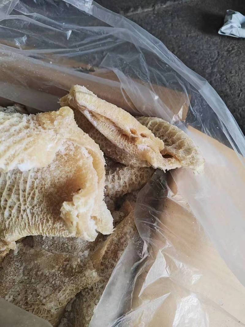 金钱肚