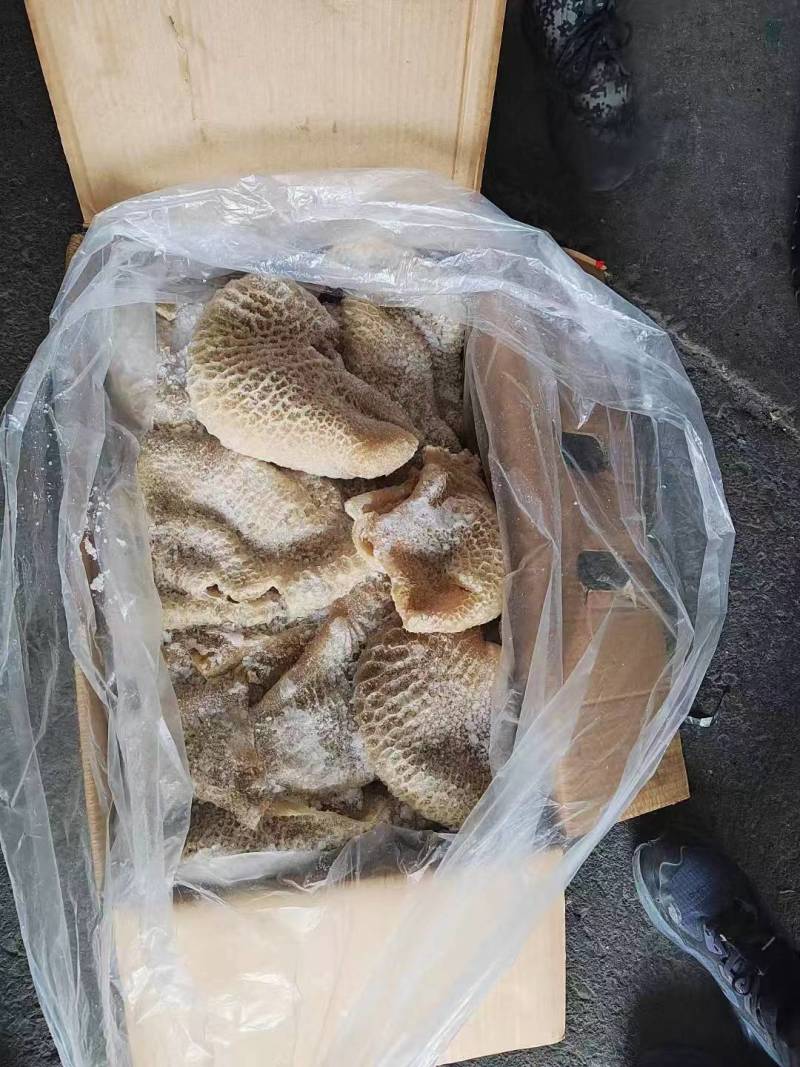 金钱肚