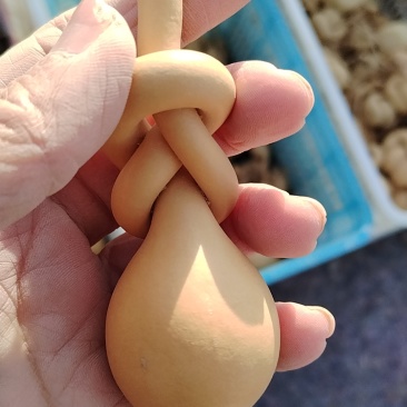 老皮葫芦