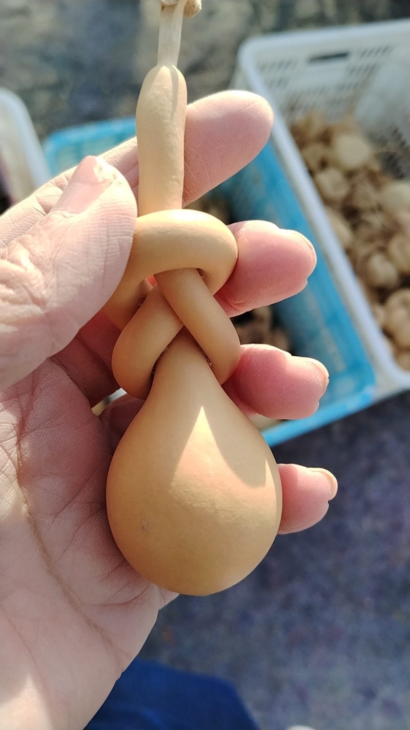 老皮葫芦