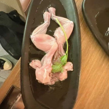 牛蛙