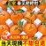 四川春见耙耙柑～柑橘～丑橘～不知火电商平台对接一件代发一
