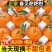 四川春见耙耙柑～柑橘～丑橘～不知火电商平台对接一件代发一