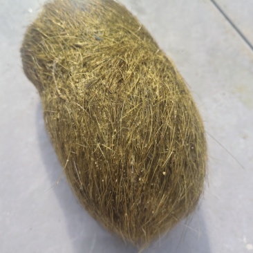 猪砂需要的老板联系