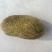 猪砂需要的老板联系