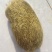 猪砂需要的老板联系
