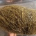 猪砂需要的老板联系