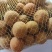新鲜龙眼，桂圆，现摘现发，包邮到家！保鲜发货，冷链运输！