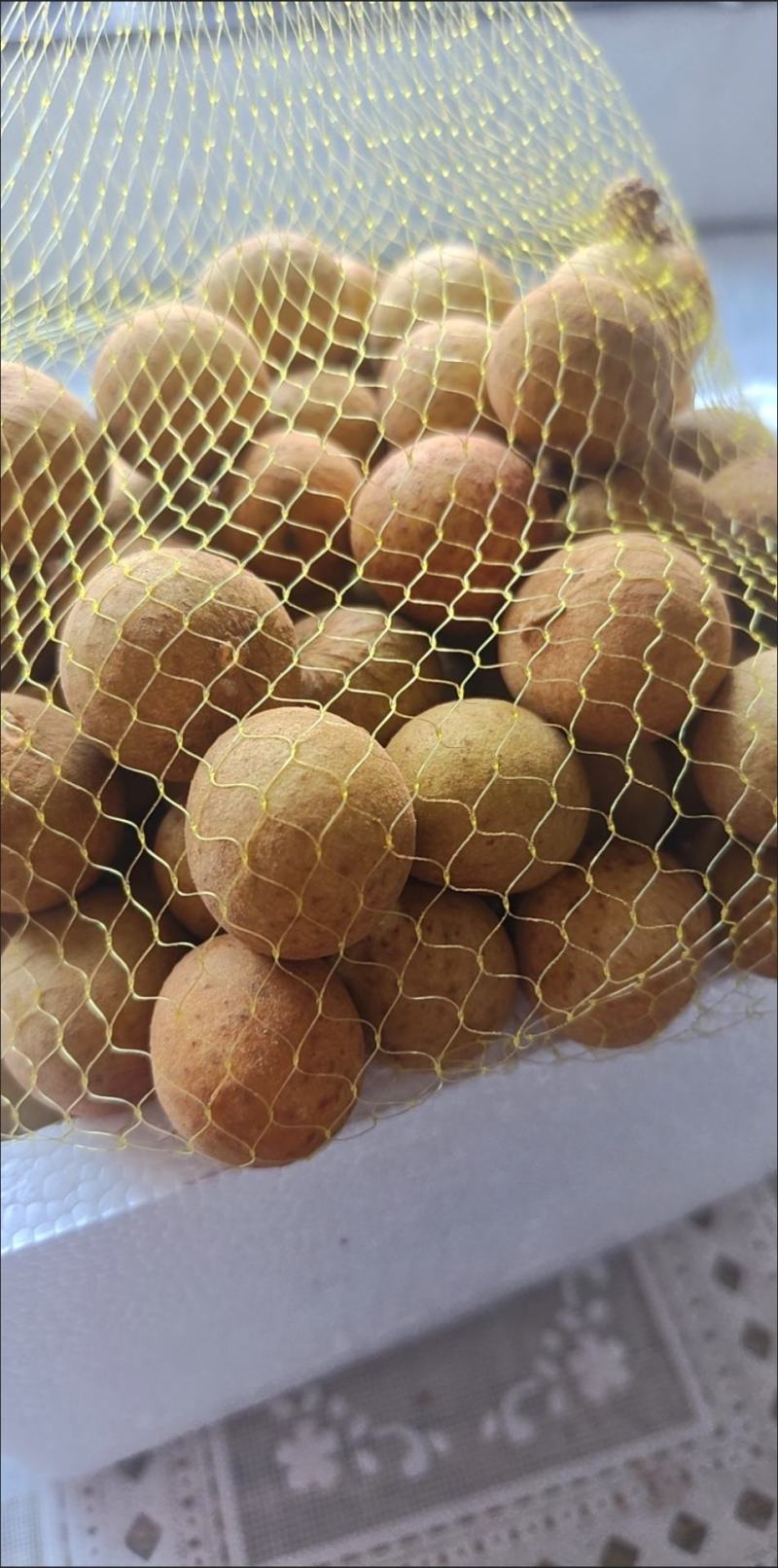 新鲜龙眼，桂圆，现摘现发，包邮到家！保鲜发货，冷链运输！