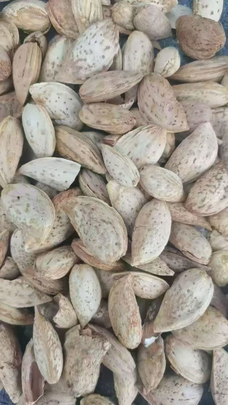 热卖巴旦木纸皮巴旦木坚果口感好价格实惠味道佳欢迎老板电联