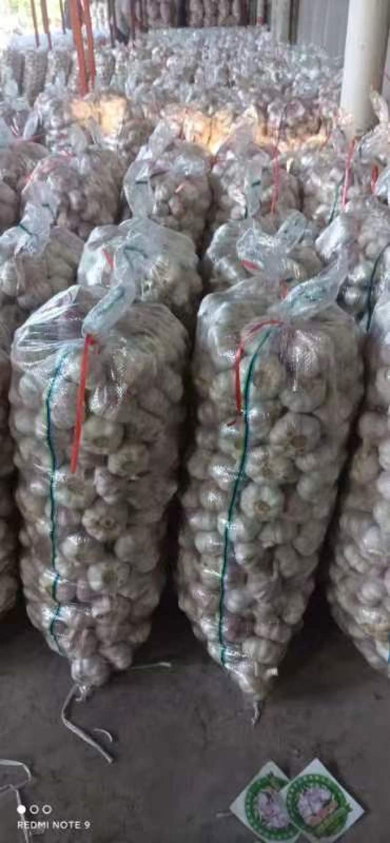 大蒜，干蒜全国发货，欢迎进店沟通，产地直发。