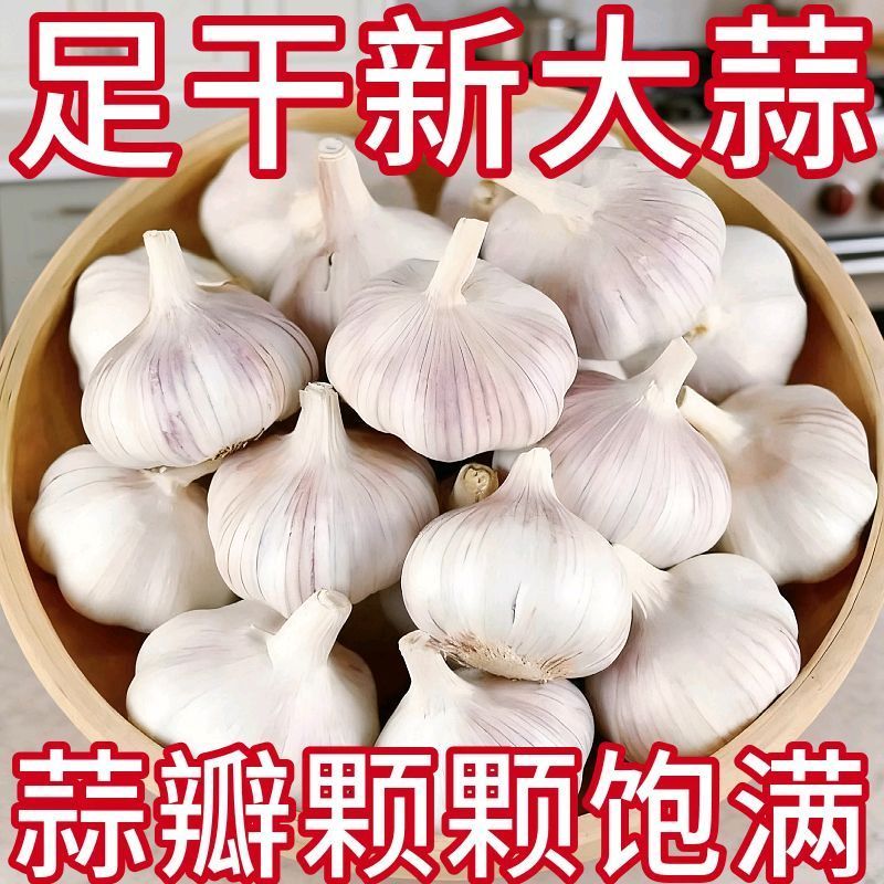 大蒜，干蒜全国发货，欢迎进店沟通，产地直发。