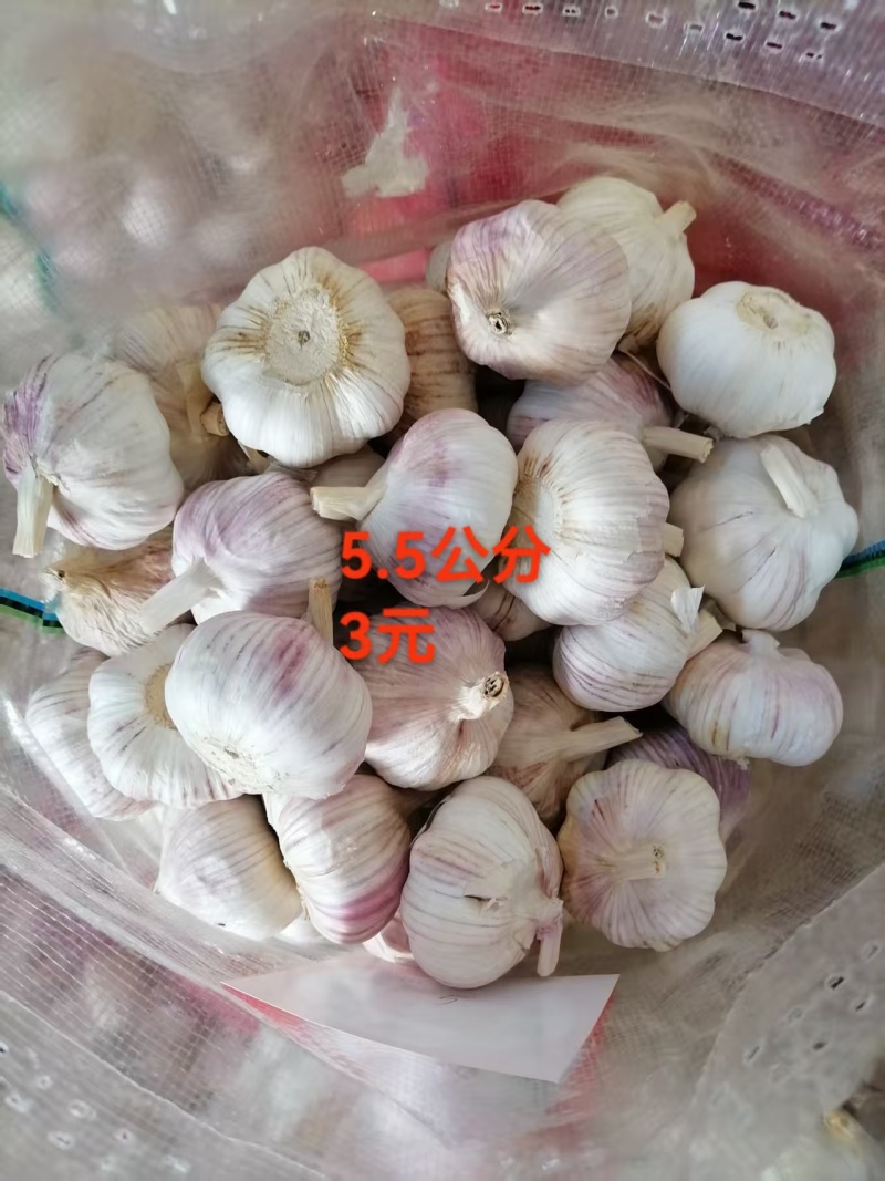 大蒜，干蒜全国发货，欢迎进店沟通，产地直发。