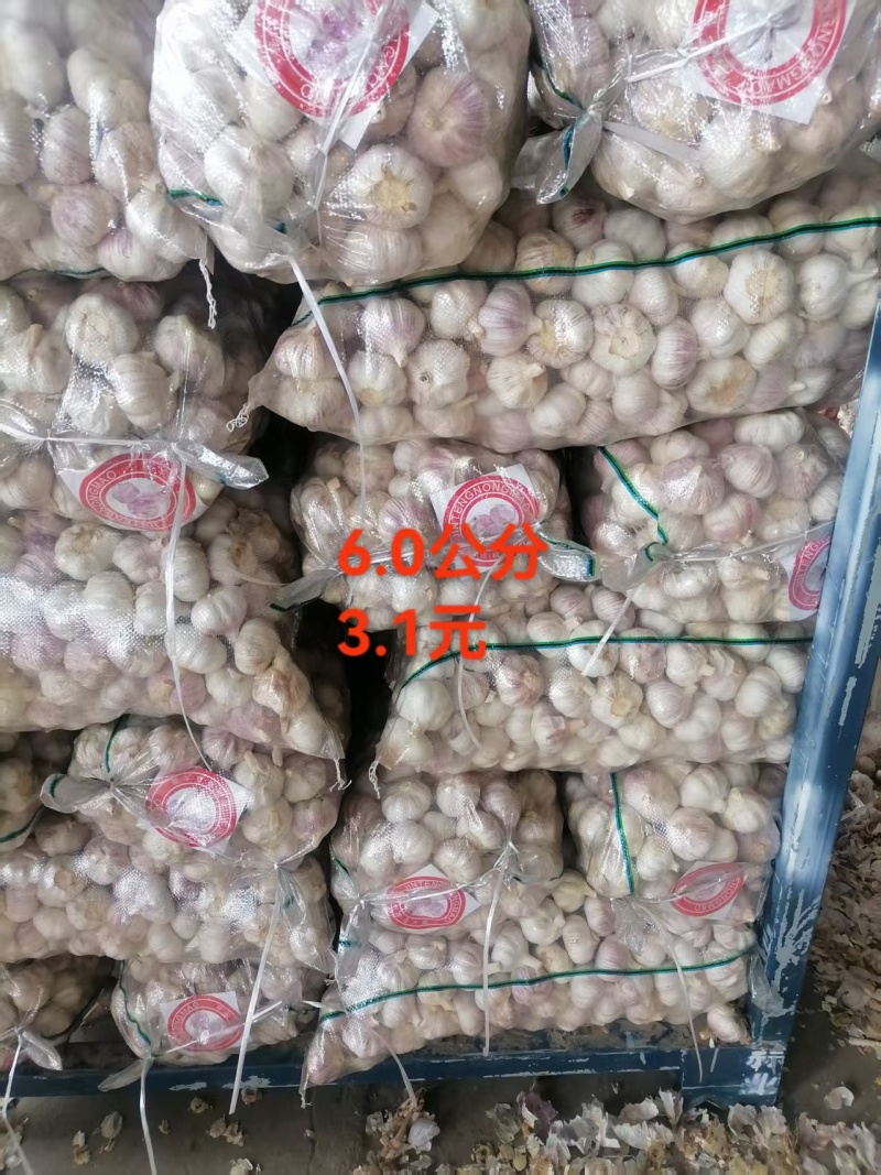 大蒜，干蒜全国发货，欢迎进店沟通，产地直发。