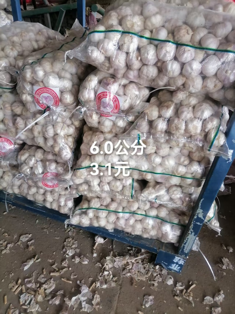 大蒜，干蒜全国发货，欢迎进店沟通，产地直发。