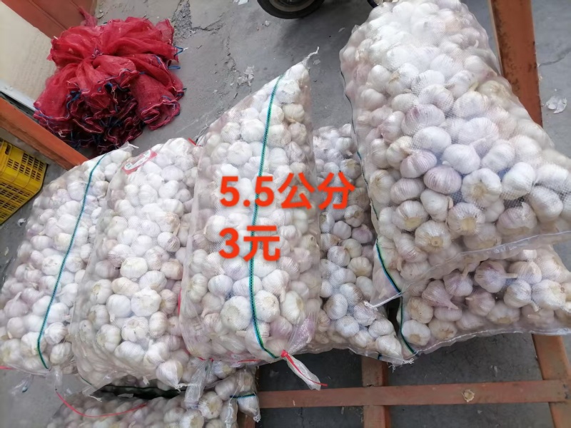 大蒜，干蒜全国发货，欢迎进店沟通，产地直发。