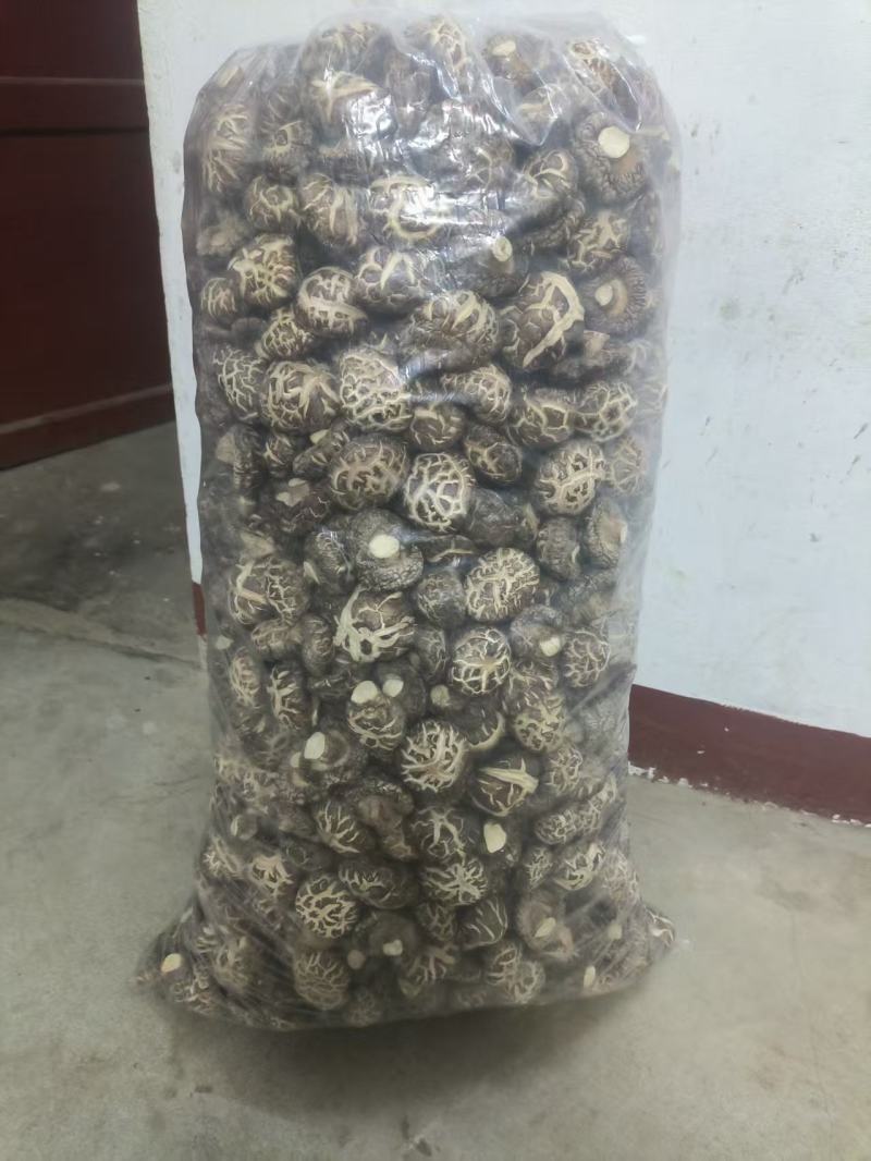 特级香菇