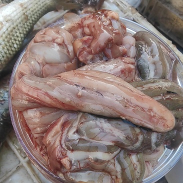 梭鱼肠子鲜咸梭鱼