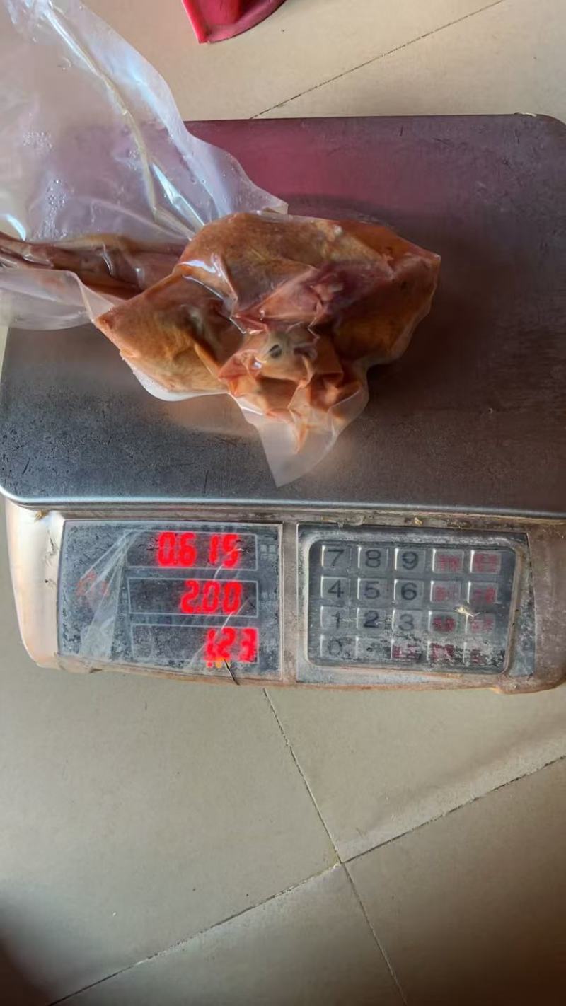 优质鹧鸪肉库存充足量大从优可视频欢迎老板选购