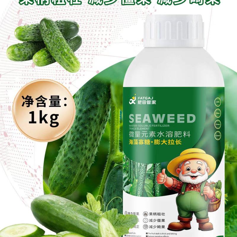 海藻寡糖*膨大拉长，助力膨果果型周正果柄粗壮无畸形果
