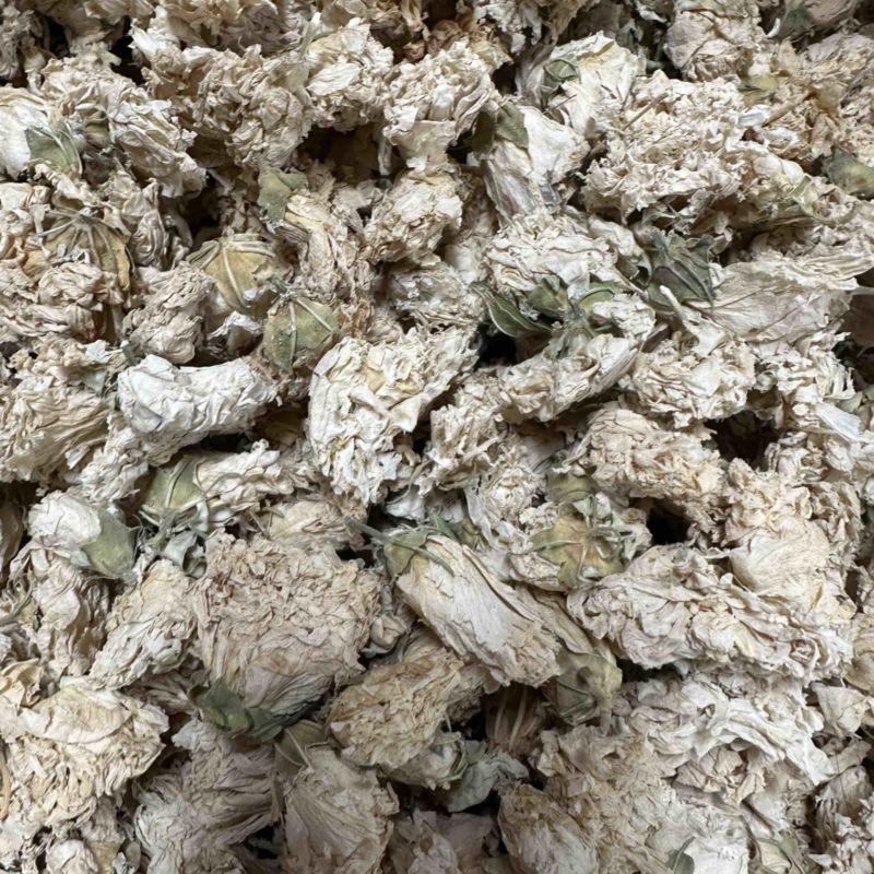 木槿花浙江野生木槿花正品新货自然晾晒无硫原汁原味