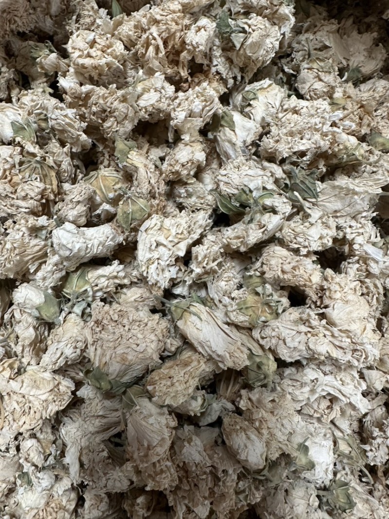 木槿花浙江野生木槿花正品新货自然晾晒无硫原汁原味