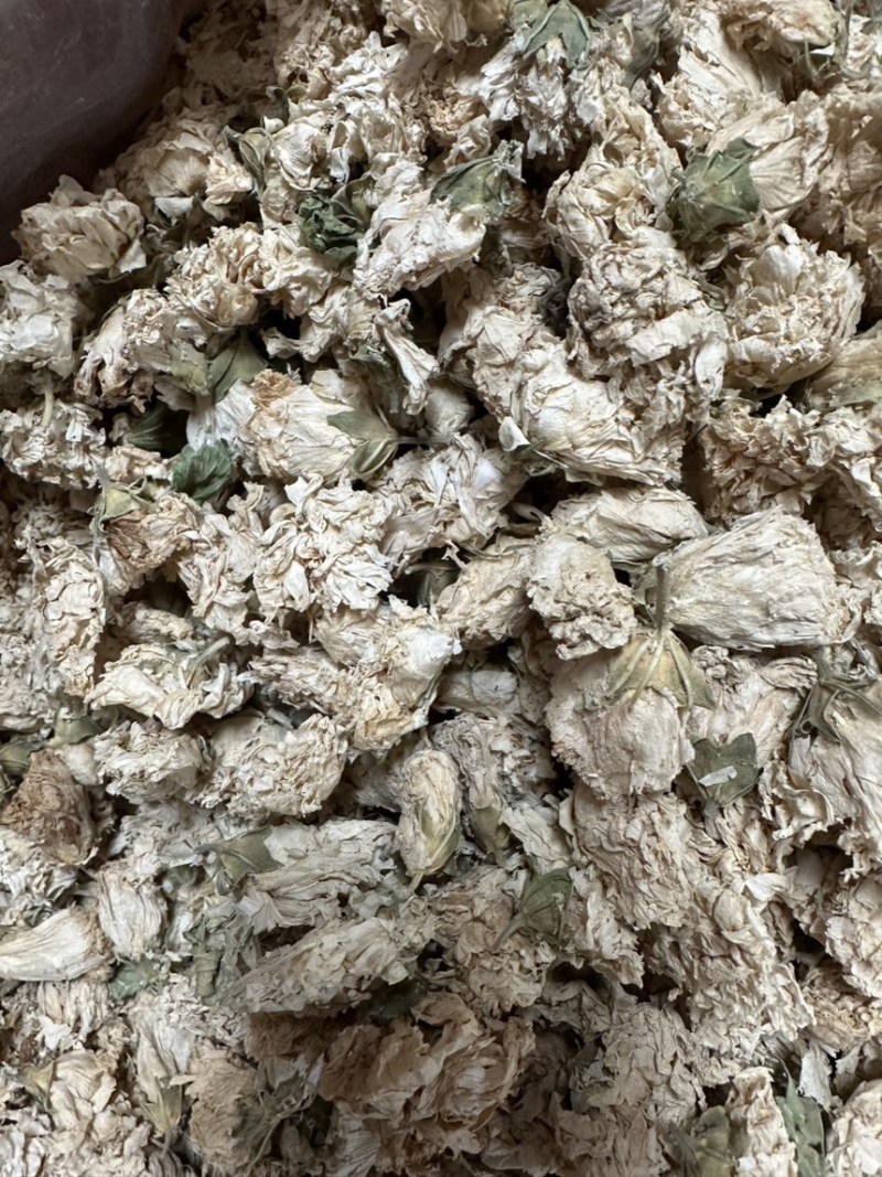 木槿花浙江野生木槿花正品新货自然晾晒无硫原汁原味