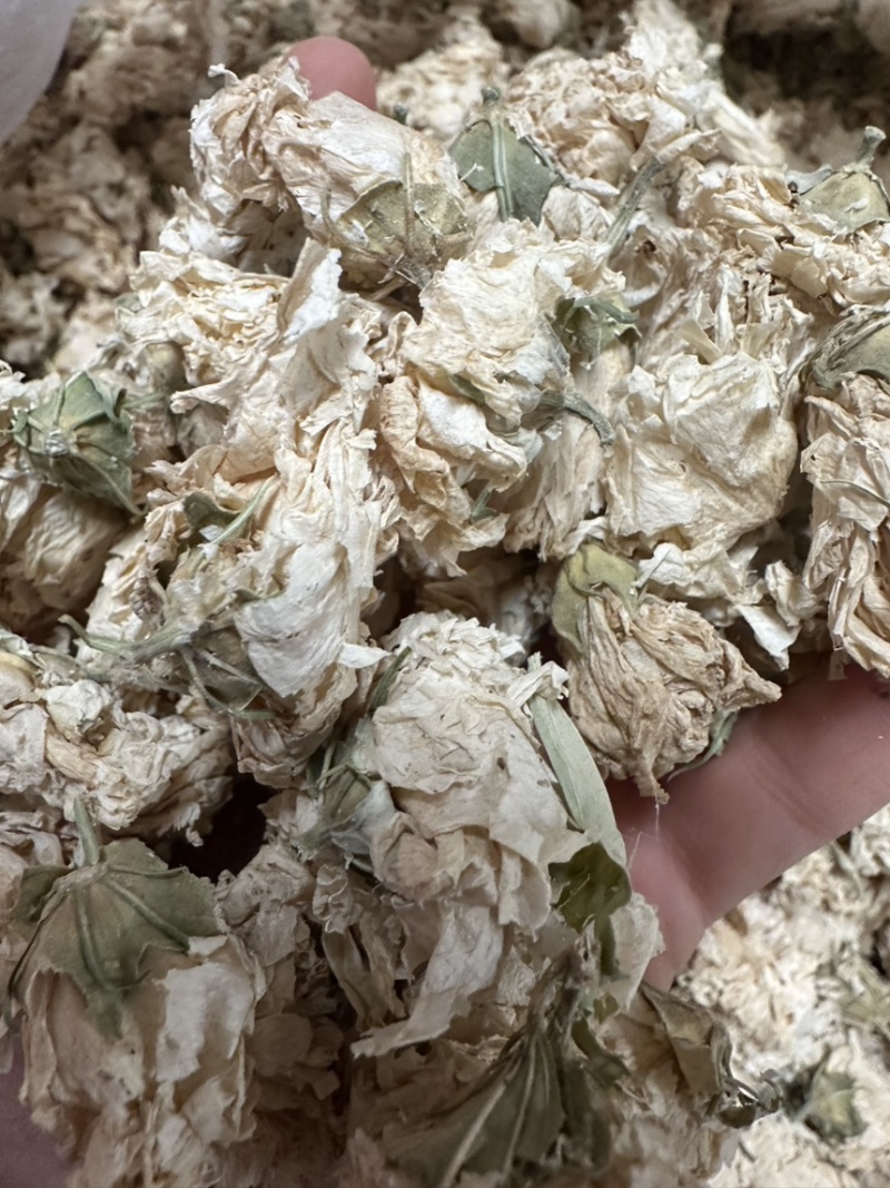 木槿花浙江野生木槿花正品新货自然晾晒无硫原汁原味
