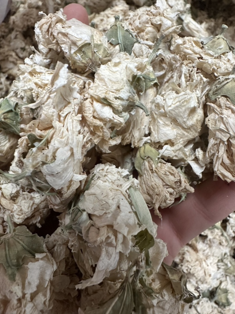 木槿花浙江野生木槿花正品新货自然晾晒无硫原汁原味