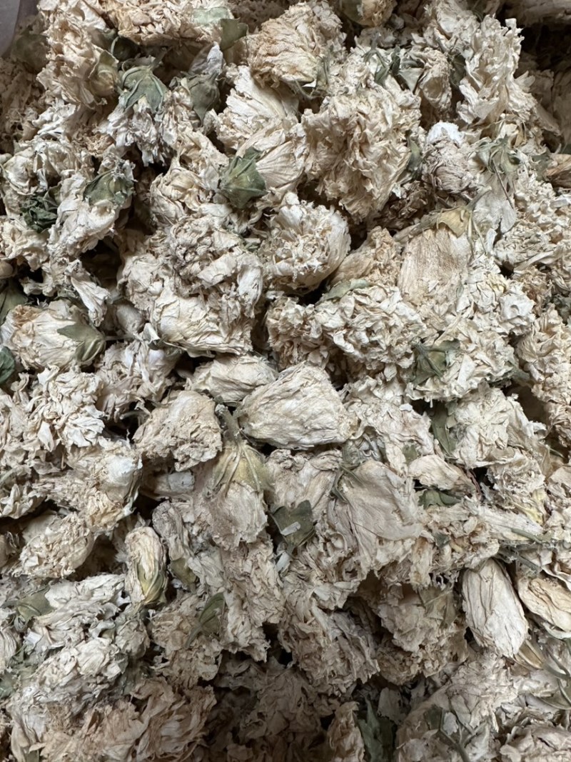 木槿花浙江野生木槿花正品新货自然晾晒无硫原汁原味