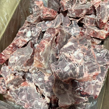 北牧塞满肉羊蝎子