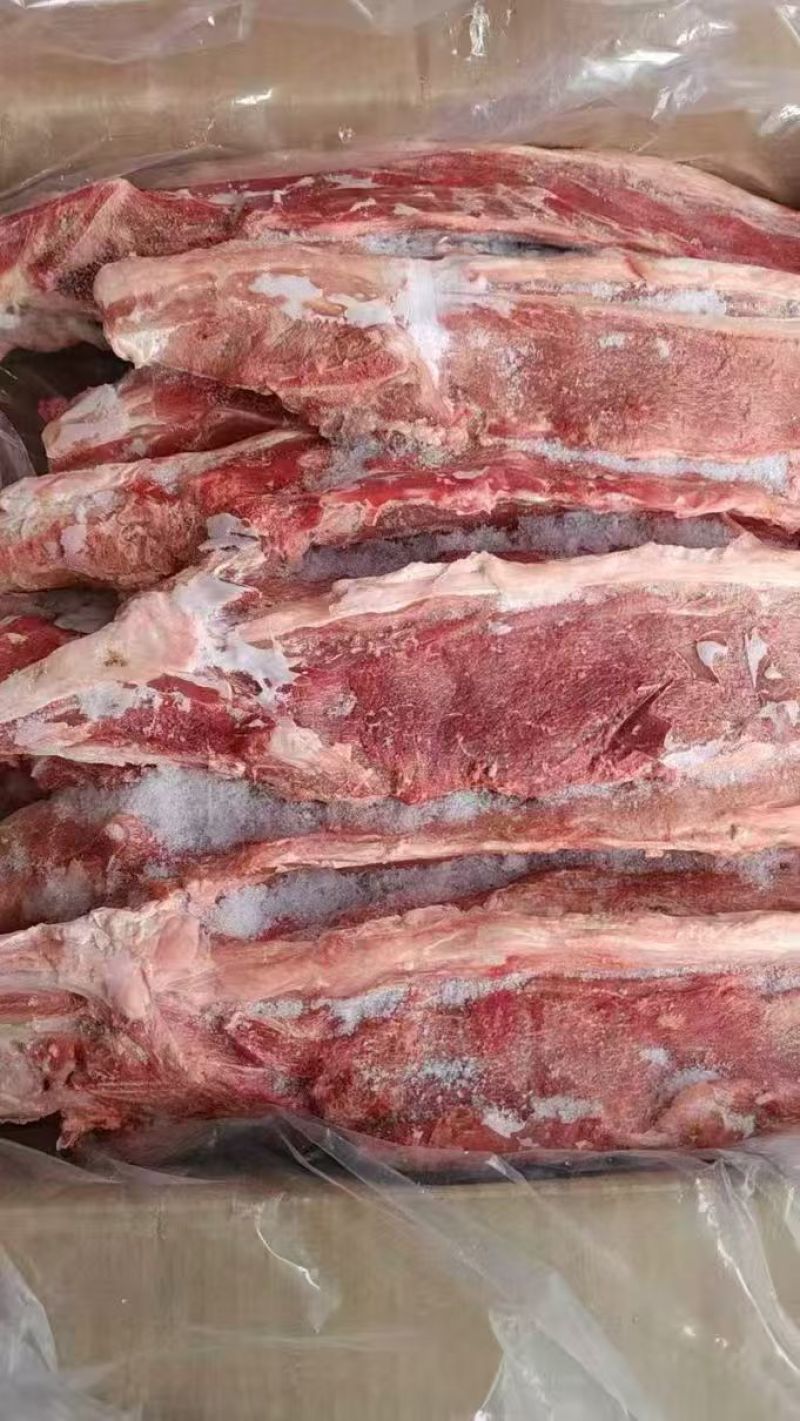 北牧塞满肉羊蝎子