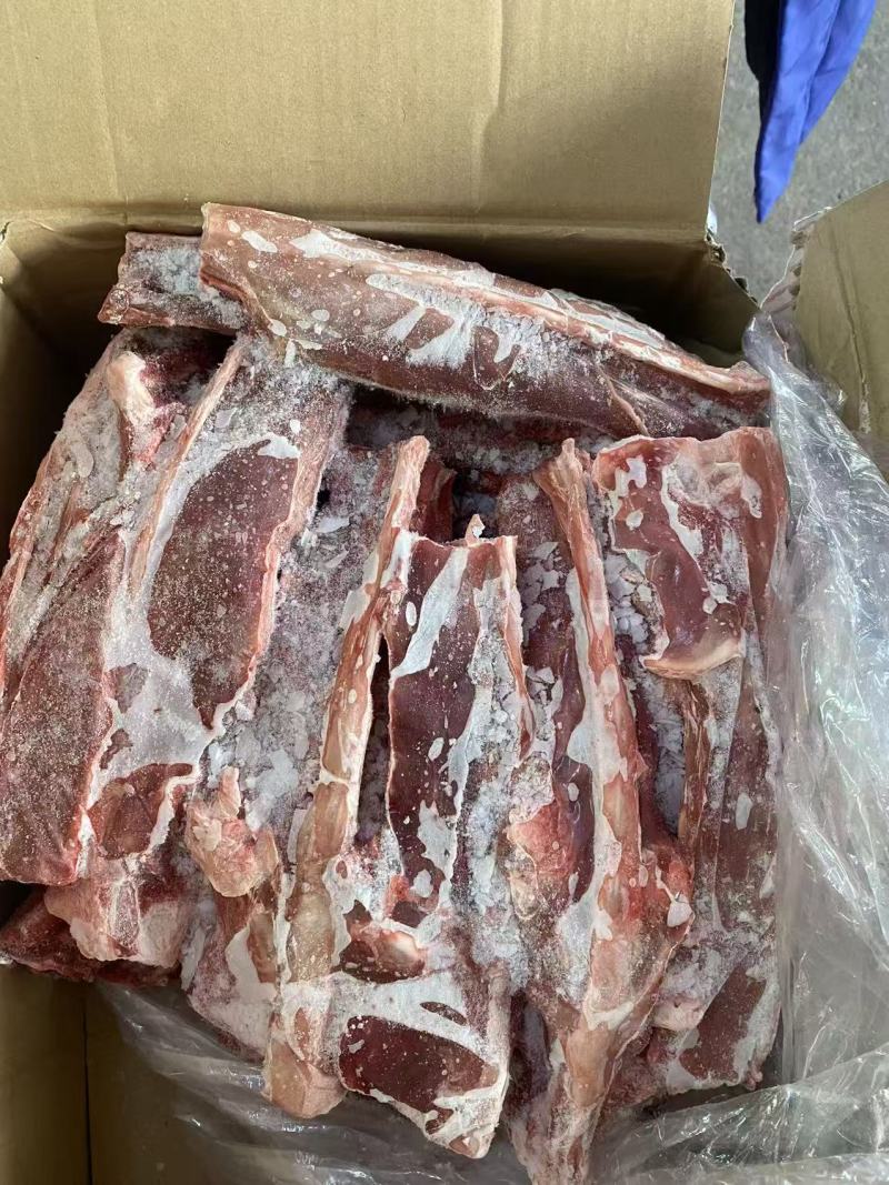 北牧塞满肉羊蝎子