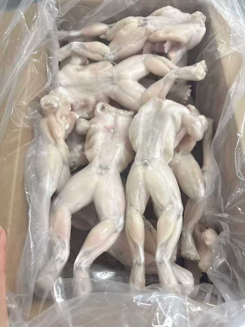 牛蛙