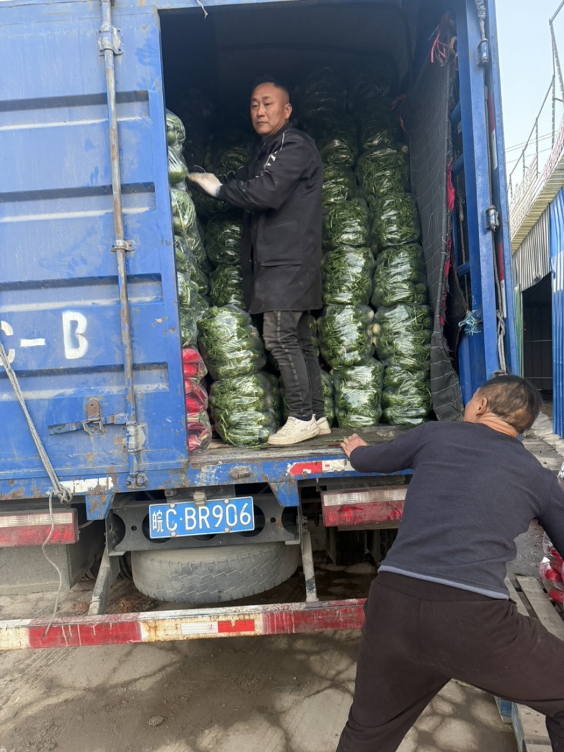 需要的可以联系我