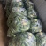 需要的可以联系我