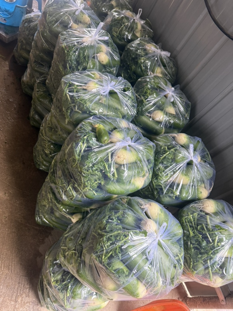 需要的可以联系我