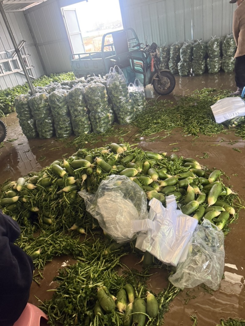 需要的可以联系我